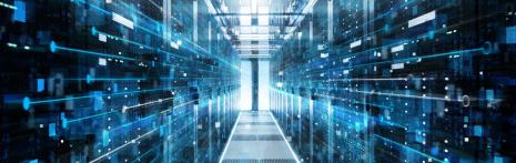 사진은 본문과 관련없음.