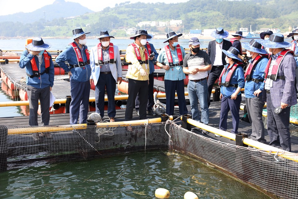 임준택 수협중앙회장(사진 좌측에서 네번째)이 장마 후 본격적인 폭염이 예상됨에 따라 18일 통영 일대 양식장 점검에 나섰다. (제공=수협중앙회)