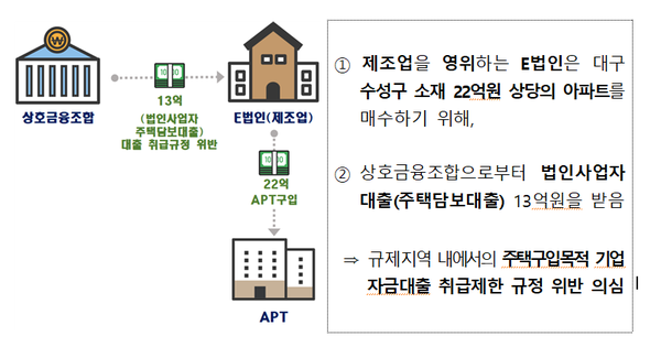 규제지역 내 주택구입목적 기업자금 대출금지 위반 의심 사례. (제공=금융감독원)