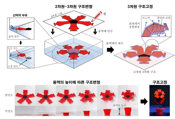 2차원 펜 그림이 3차원 구조로 변환되는 원리 (출처=권성훈 서울대 공대 교수팀)