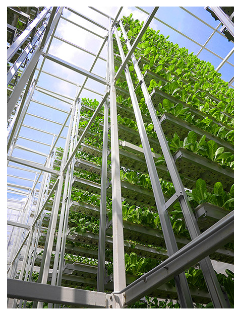 (출처=스카이그린스(Sky Greens) 공식 홈페이지 캡쳐)