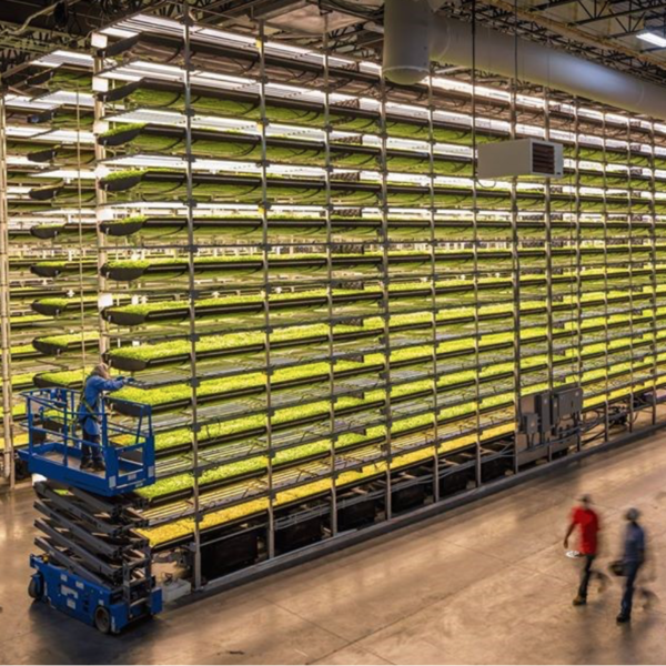 (제공=에어로팜스)