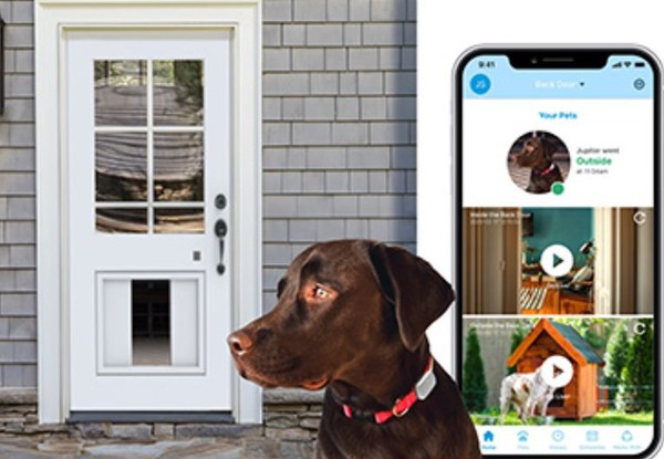 반려동물 스마트도어 ‘마이큐 펫포털’ (사진=마이큐 공식 홈페이지)