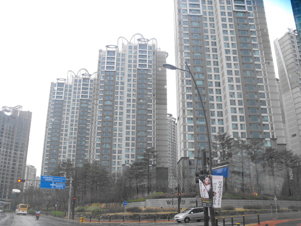 사진은 본문과 직접 관련은 없음.