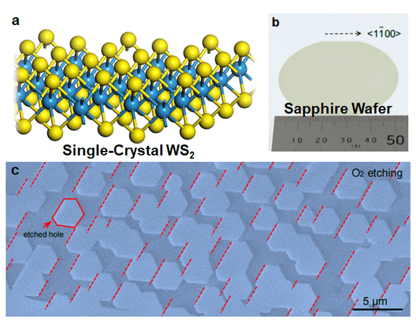 사진=기초과학연구원