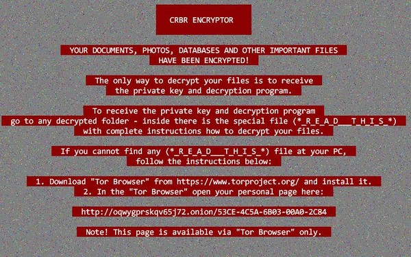 사진은 랜섬웨어에 감염된 화면.