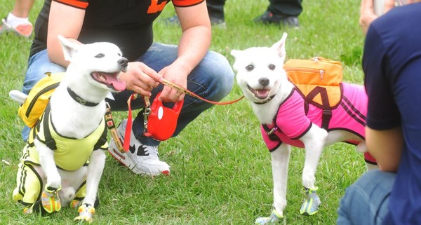 사진은 본문과 직접 관련은 없음.(사진=건국대학교)