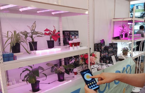 사진은 '2022 mbd건축박람회 및 LED엑스포'에 출품한 민간기업 P사의 스마트 원격제어 농법으로 본문 기사와는 무관함.