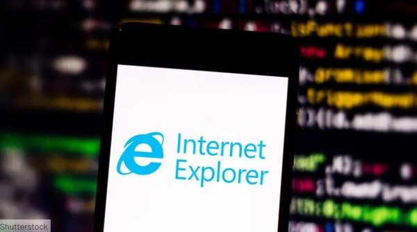 (사진=셔터 스톡)