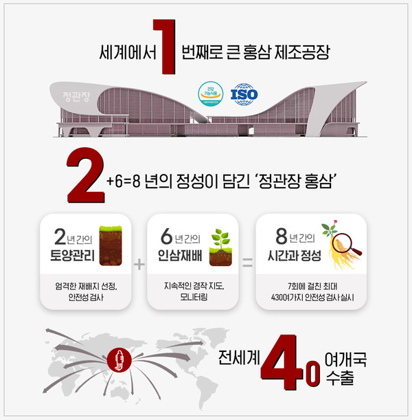 124주년 기획기사 인포그래픽(제공:KGC인삼공사)