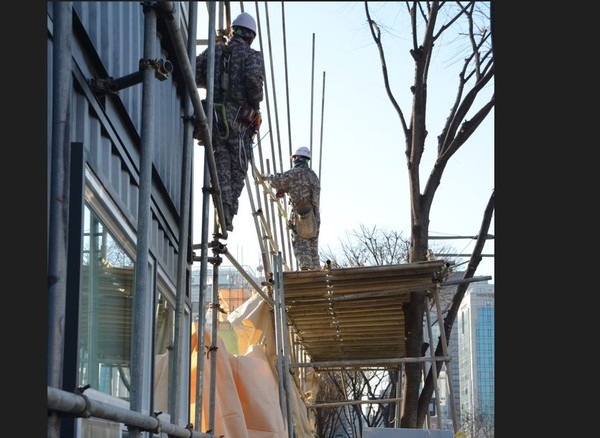 사진은 본문과는 직접 관련이 없음.
