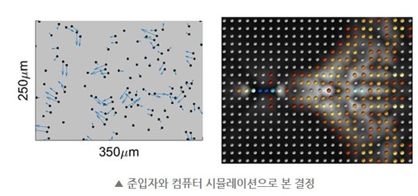 준입자와 컴퓨터 시뮬레이션으로 본 결정.(출처 : 기초과학연구원)