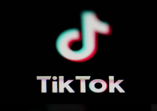 틱톡 로고 이미지. (틱톡 화면 캡처 합성)