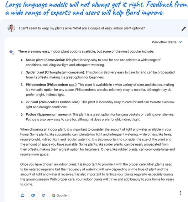 구글의 생성AI '바드'가 사용자와 주고 받은 질문과 답변이 담긴 화면. (사진=뉴욕타임즈)