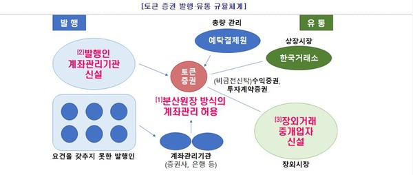 블록체인 기반 토큰 증권 개념도. (사진=금융위원회)