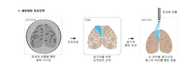 뇌연결지도를 만들기 위한 광유전학과 자기공명 시스템.(그림=기초과학연구원)