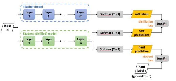 지식 증류 기법의 개념 설명. (출처 : https://intellabs.github.io/distiller/knowledge_distillation.html. 한국지능정보사회진흥원)