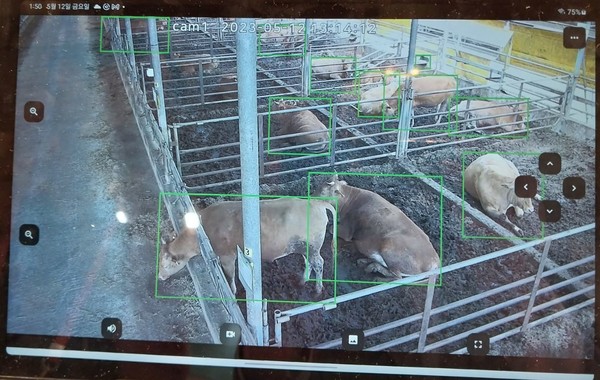 최근 'AI엑스포 코리아 2023'에 출품된 AI자동화와 데이터 기반의 스마트축산 기술을 보여주는 사진.