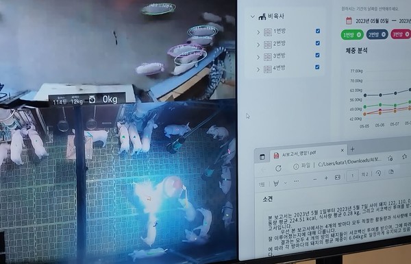 AI와 데이터 기반으로 수정시기와 출산시점, 개체수, 활동량, 사료 섭취량 등을 정확하 파악, 관리할 수 있다.