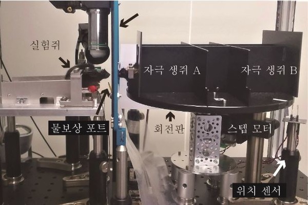 생쥐를 이용한 '개체 인지행동' 실험 장치.(출처=기초과학연구원)