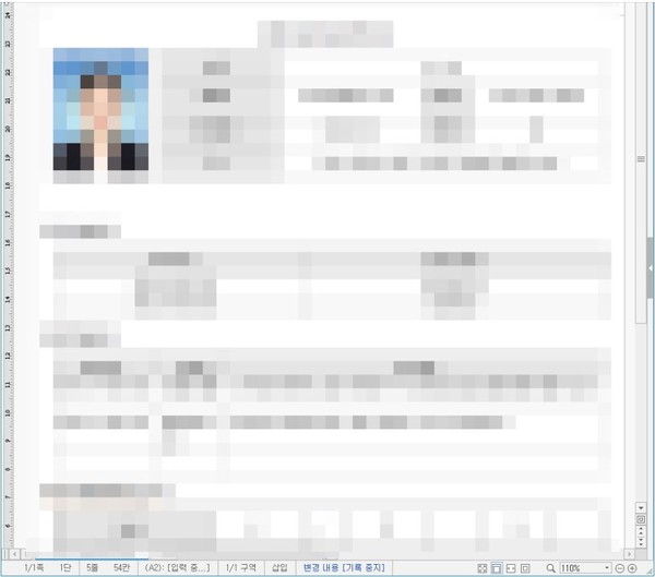 사용자를 속이기위해 보여주는 디코이 파일