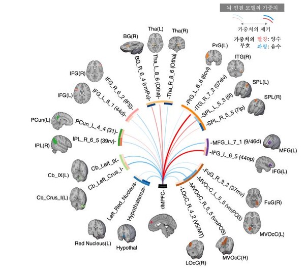 반추를 예측하는 모델로서, 원 안의 선은 반추 경향을 예측하는 데 중요한 배내측 전전두엽피질(dmPFC)과 다른 뇌의 영역(디폴트 모드 네트워크) 간의 연결성을 나타낸다. (그림=기초과학연구원)