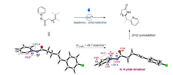 락탐과 피리딘을 동시에 가진 화합물 합성 조감도.(제공=기초과학연구원)