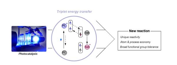 삼중항 에너지 전달 메커니즘.(기초과학연구원)