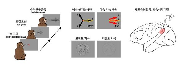 행동실험 및 세포측정영역. (제공=기초과학연구원)