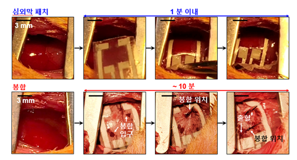 (출처=기초과학연구원)
