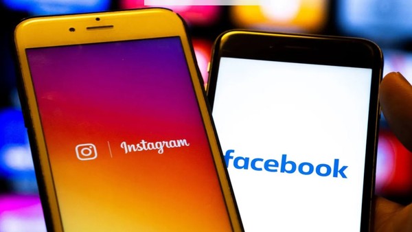 (사진=셔터 스톡)