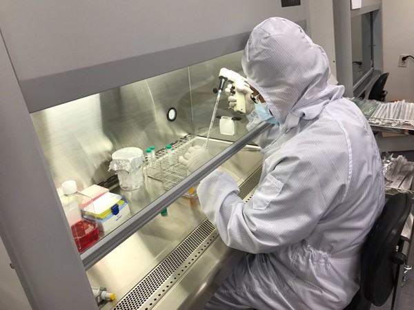 사진은 본문과 직접 관련은 없음.