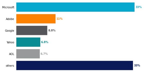 멀웨어 다운로드 살포를 위해 악용되는 주요 제품의 메이저들.(출처=넷스코프)