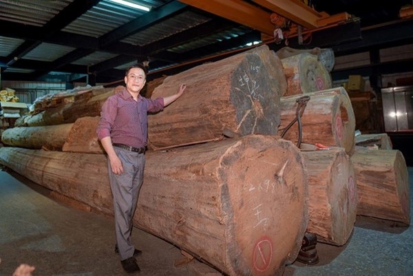 [일본으로부터 되사온 대만산 천연 화백(檜木)]