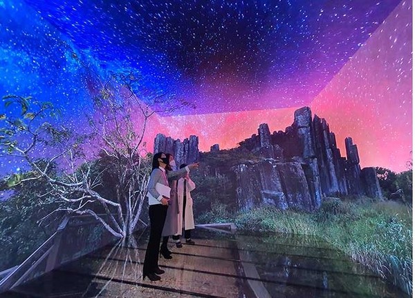 사진은 본문과 관련없음.