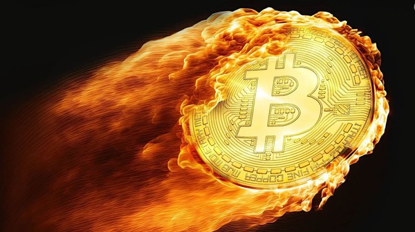 (사진=디크립트)