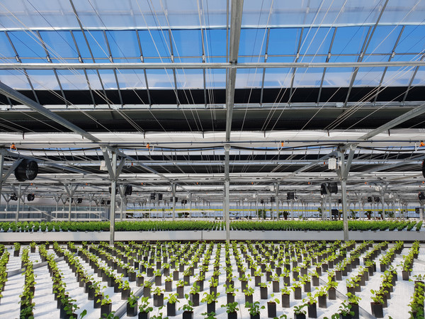 자동제어기에 의해 작동하는 스마트팜.