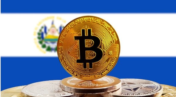 (사진=셔터 스톡)