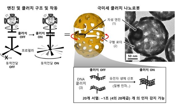  초미세 스마트 나노로봇의 질병 진단, 치료의 원리. (출처=기초과학연구원)