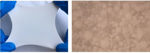 복합탄성체 신소재. (제공=과학기술정보통신부)