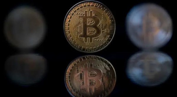 (사진=셔터 스톡)