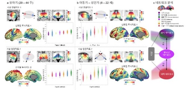 (그림=기초과학연구원)