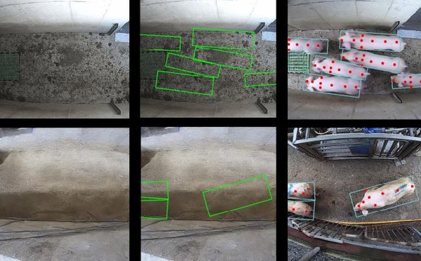 스마트축산을 위한 전이학습 개념도.(출처=인트플로우, 정보통신기획평가원)