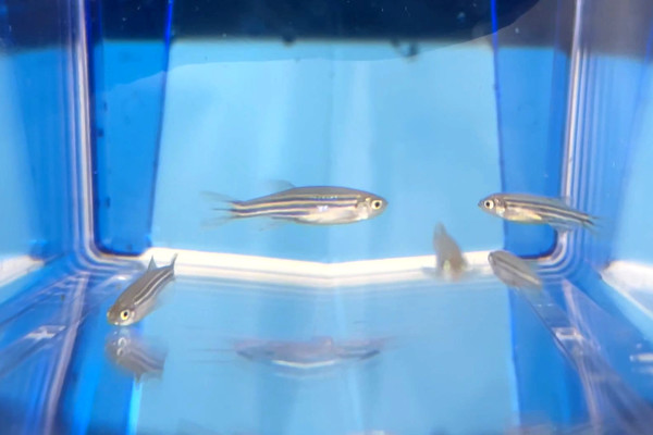 사진:JW중외제약