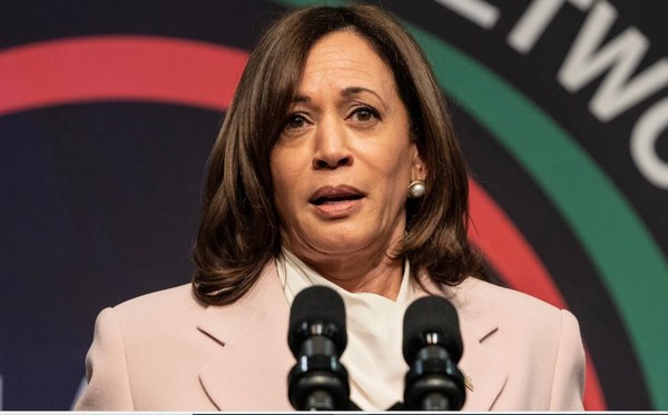 11월 미국 대선 후보로 나설 카말라 해리스 미국 부통령. (출처=셔터 스톡)