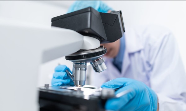 생성AI 기반의 암치료제 등의 개발이 본격화되고 있다. 사진은 본문과 직접 관련은 없음. (사진=노보텍)