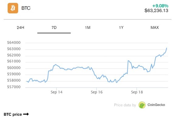비트코인 가격 번동 상황. (출처=코인게코, 디크립트)