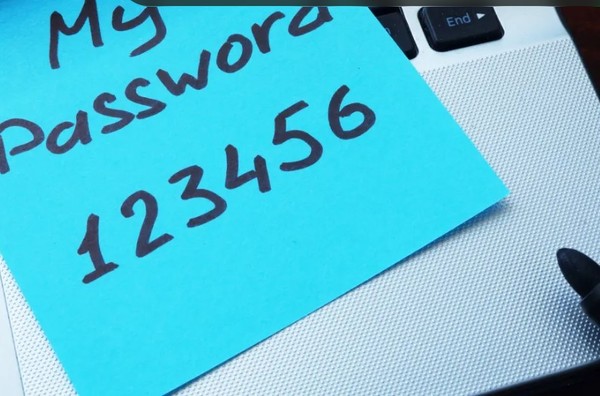 (사진=사이버레디)