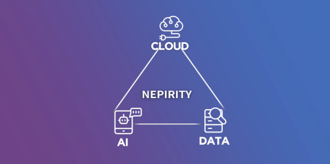 제공 : 네피리티