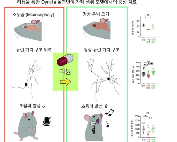 (출처=기초과학연구원)